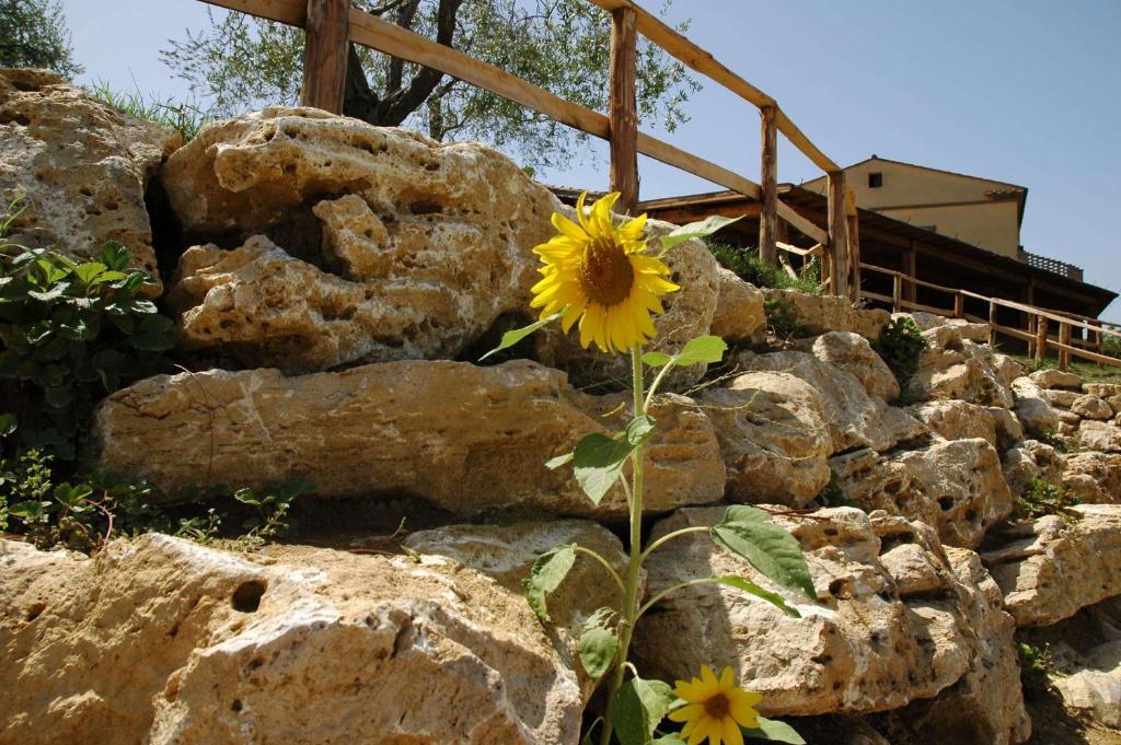 Agriturismo Campo Antico Pension Orte Buitenkant foto