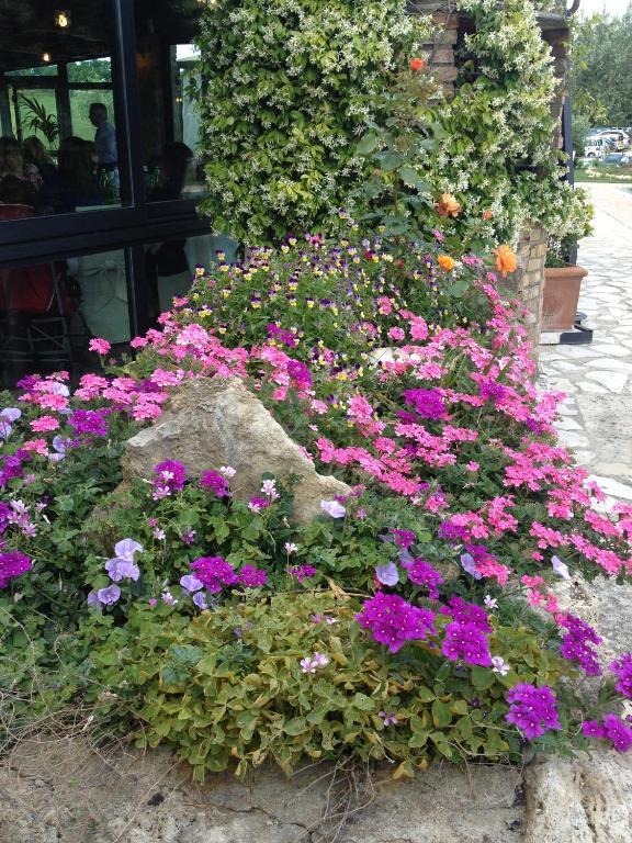 Agriturismo Campo Antico Pension Orte Buitenkant foto